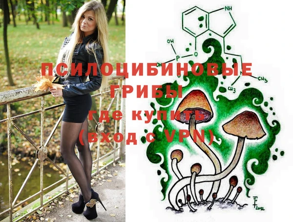 ПСИЛОЦИБИНОВЫЕ ГРИБЫ Надым