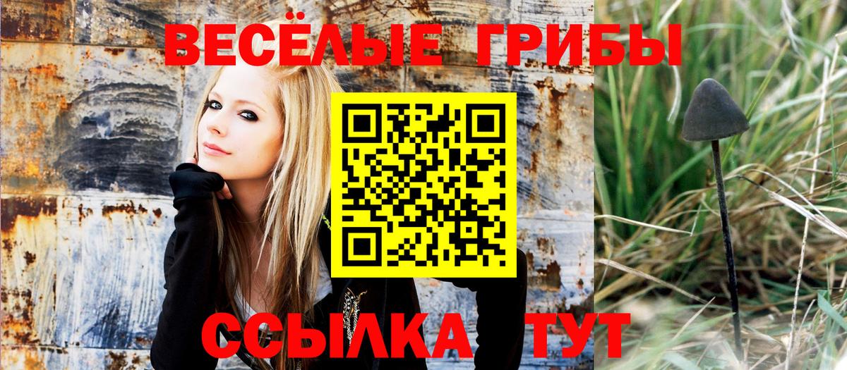 Абинск  Псилоцибиновые грибы MAGIC MUSHROOMS  Вход с VPN 