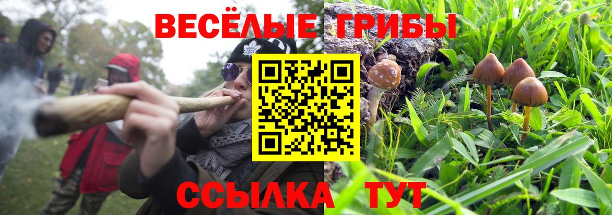 Псилоцибиновые грибы мухоморы Абинск